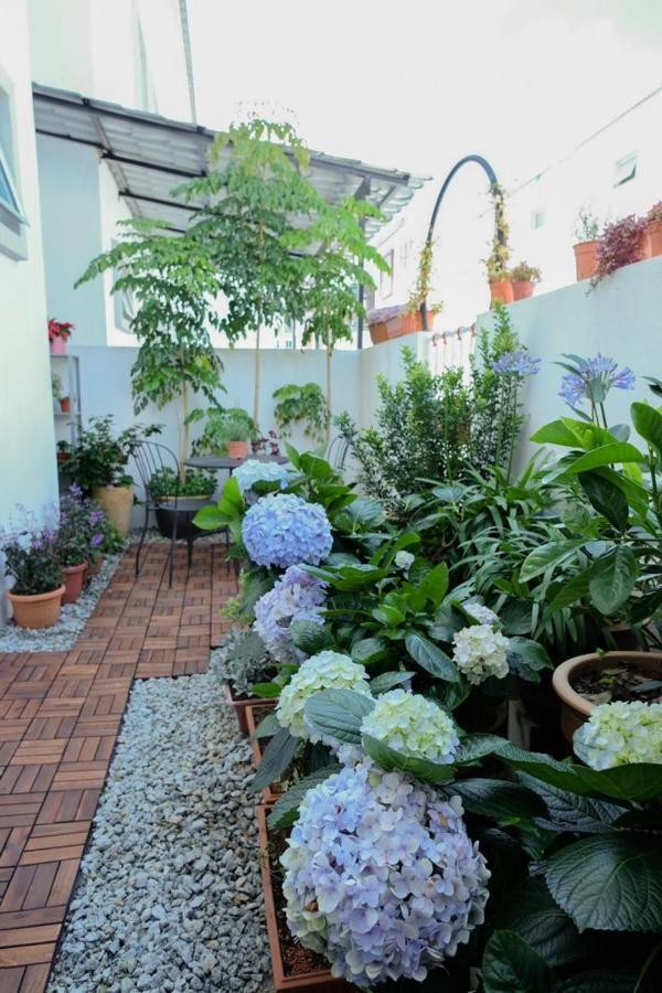 Comfy Sofy 21- Backyard Garden- Night Market Area Камерън Хайлендс Екстериор снимка